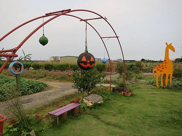 IMG_1425.JPG