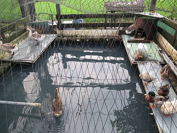 IMG_1451.JPG