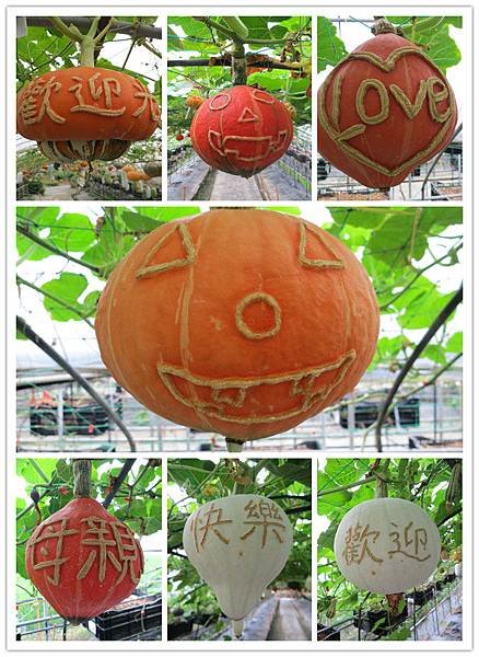 南瓜割字.jpg