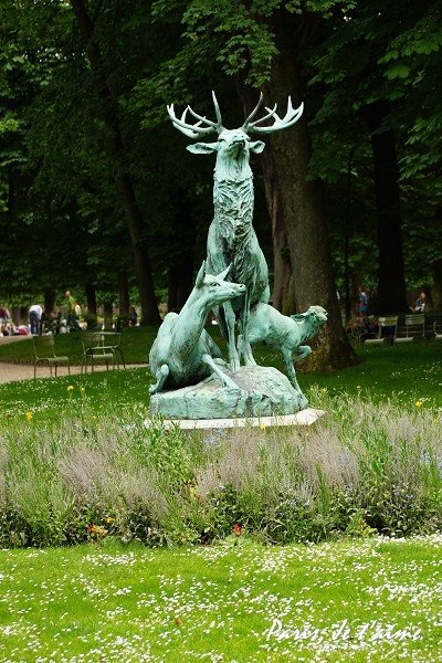 a008.jpg