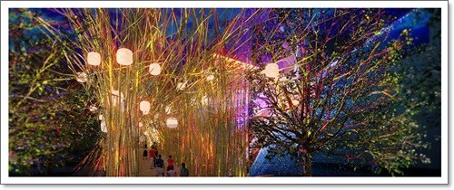 Brisbane Airport Light Garden-1