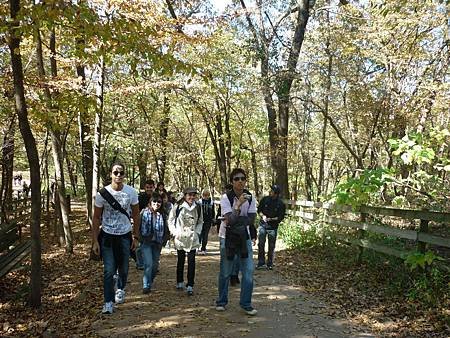 IntraxCH-HikeInPark