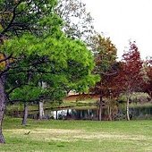 UHCL pond