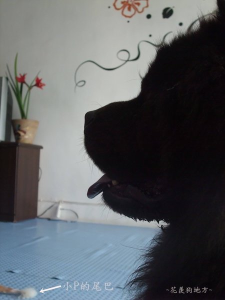 DSCF5319.JPG