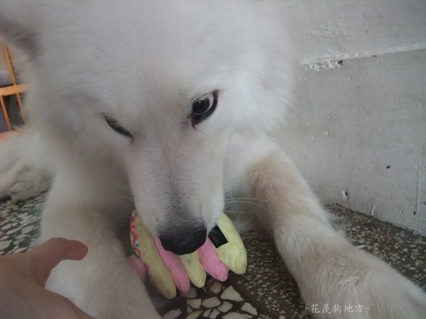 DSCF5369.JPG