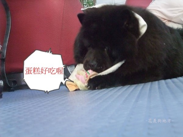DSCF5386.JPG