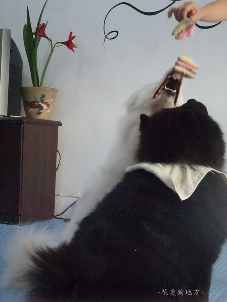 DSCF5387.JPG