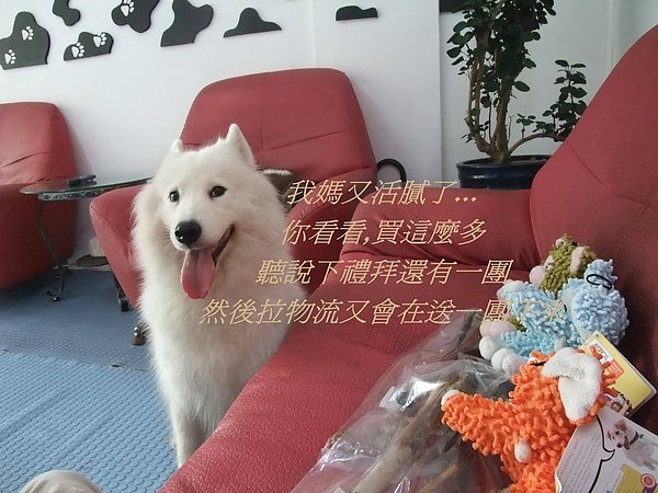 DSCF6922.JPG