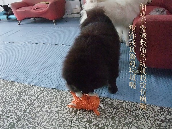 DSCF6925.JPG