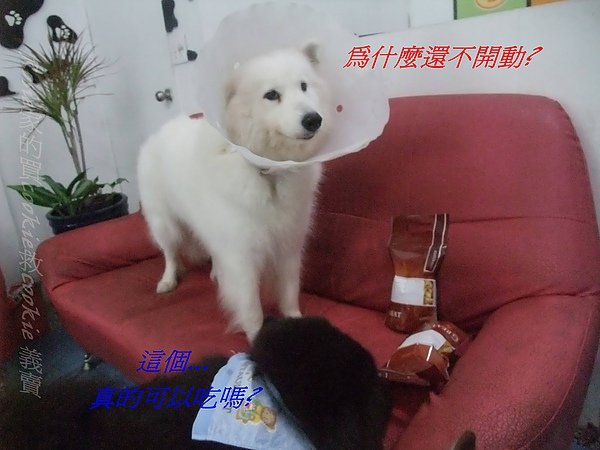 DSCF4644.JPG