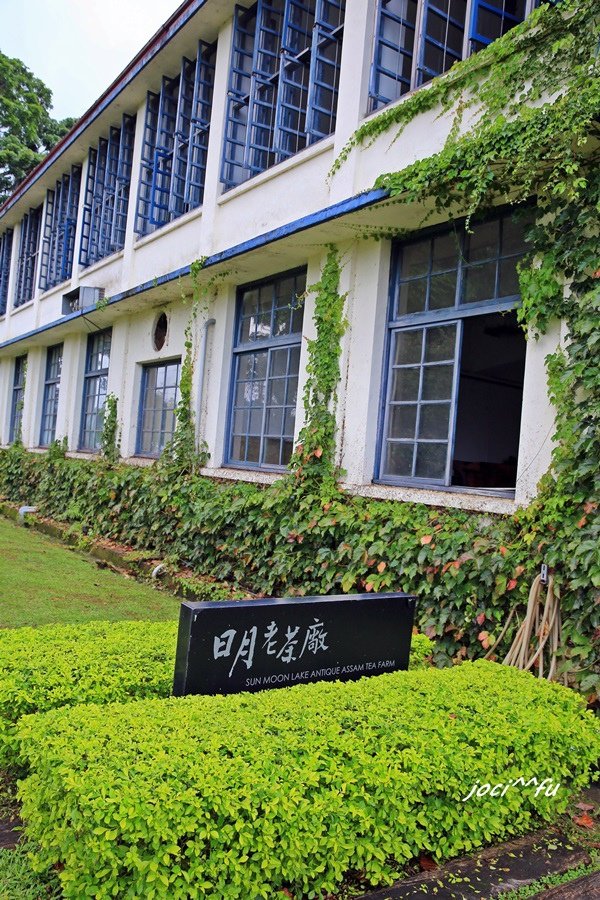 埔里清境 155.JPG