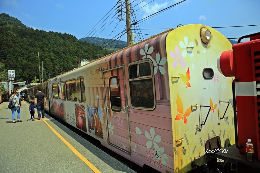阿里山賞櫻 381.JPG