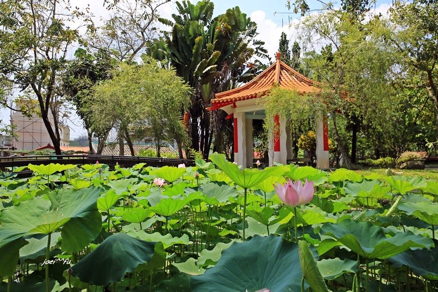 美濃1 038.JPG