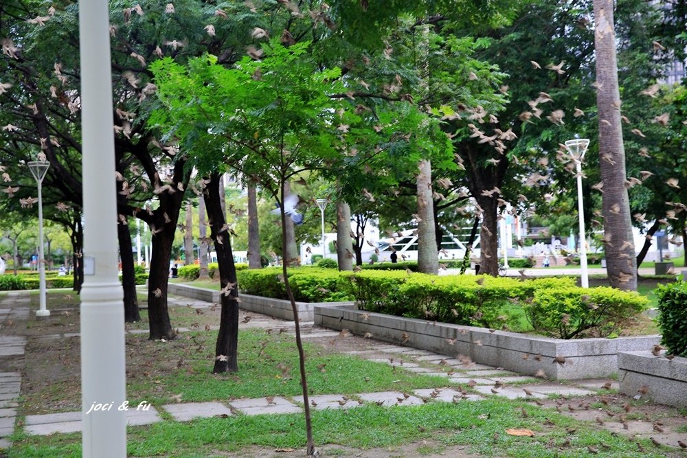 0C4A1372.JPG