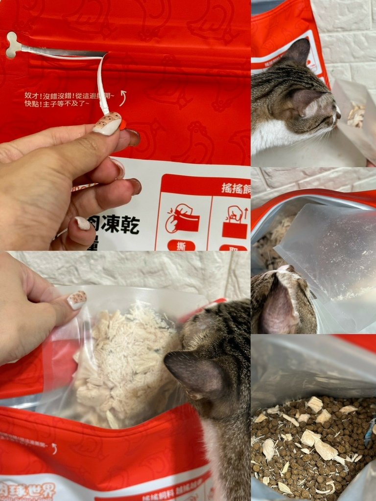 《貓咪開箱》肉球世界｜搖搖雞肉凍乾飼料｜乾糧推薦