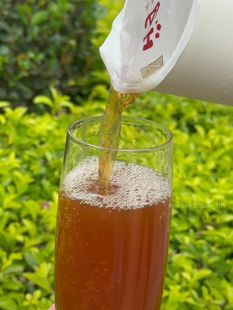 《新北食記》江山野放茶 x JiangTea 景安茶庭｜插旗