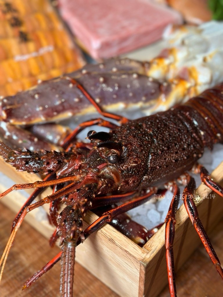 《桃園食記》 武田信玄｜日式無菜單海鮮料理｜超高CP值不用一