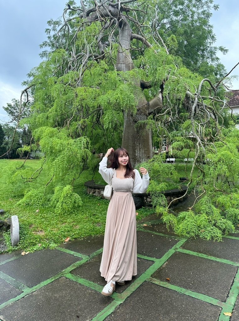 《苗栗景點》巧克力雲莊｜絕美桃紅花旗木｜母親節限定莓果巴斯克