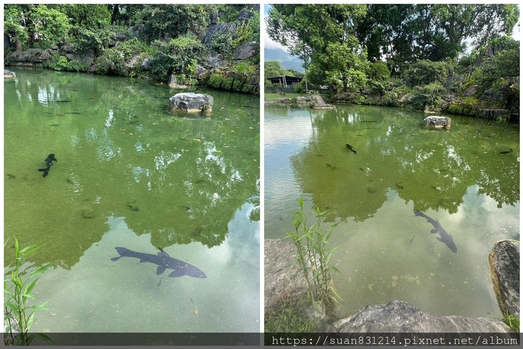 彩虹滑水道-怡園渡假村