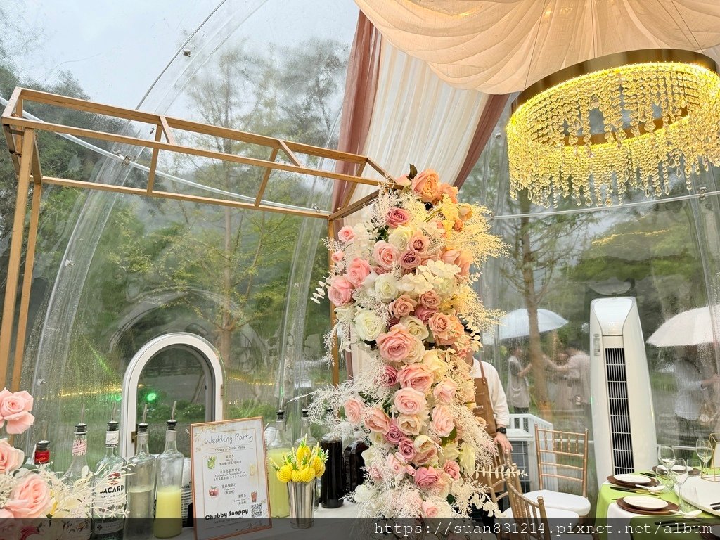 《婚宴分享》最美戶外夢幻婚宴｜蘇卡利•漫活 🌳森林婚禮【輕奢