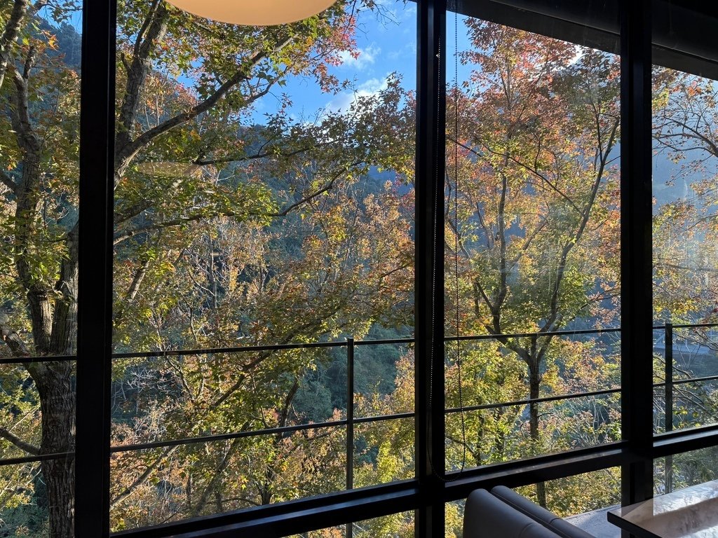 《苗栗住宿》泰安湯悅溫泉會館｜在森林風呂中泡湯的極致享受♨️