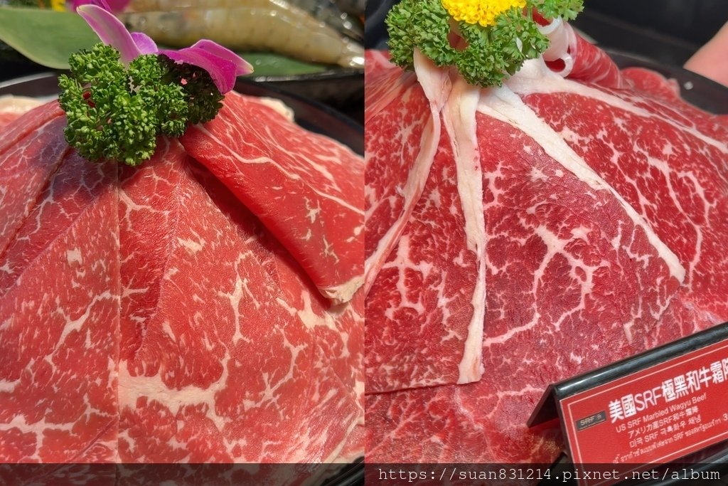 《新北食記》新馬辣經典麻辣鍋🍲｜最便宜一人只要$698！號稱