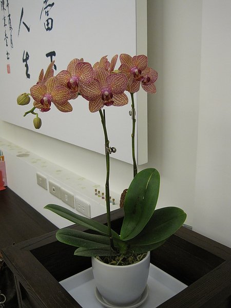 城堡 078.JPG