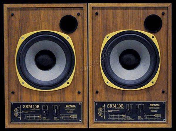 Tannoy SRM-10B