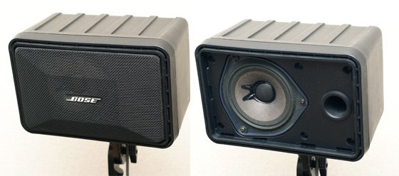 BOSE 101 MM.jpg