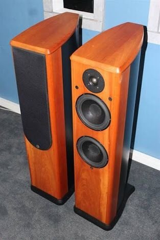 WILSON BENESCH ACTOR.jpg