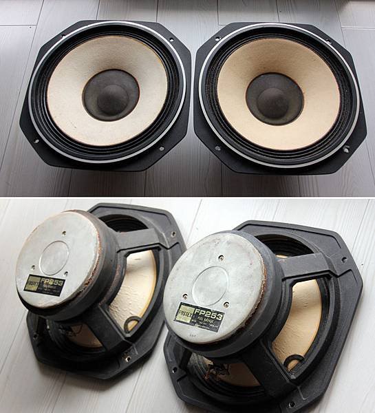 FOSTEX FP253.jpg