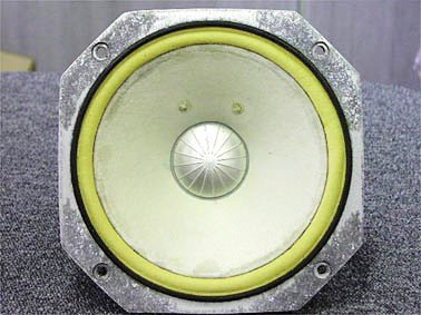 FOSTEX F205.jpg