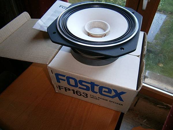 FOSTEX FP163.jpg