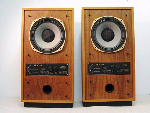 TANNOY SRM 12X.jpg