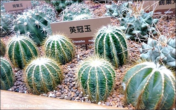 未來館_23.jpg