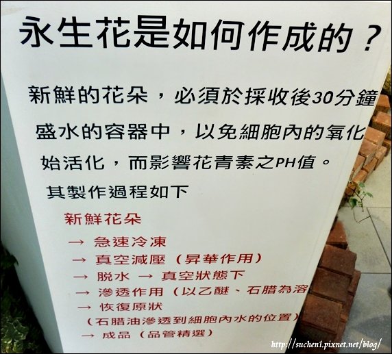 未來館_15.jpg