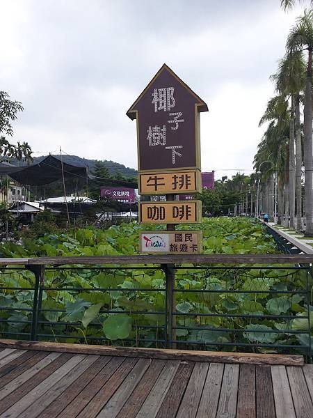 20140719_112425.jpg