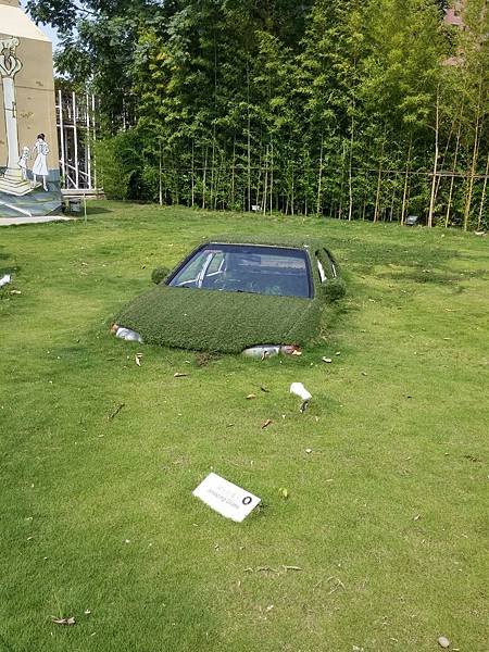 20140826_140314_HDR.jpg