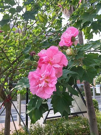 20141026_142941_HDR.jpg