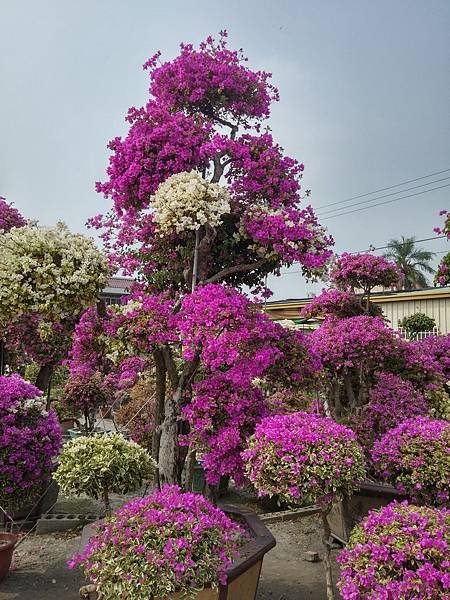 20141101_124215_HDR.jpg