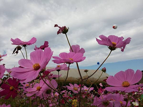 20141201_101427_HDR.jpg