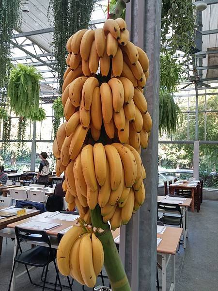 20141220_110705_HDR.jpg