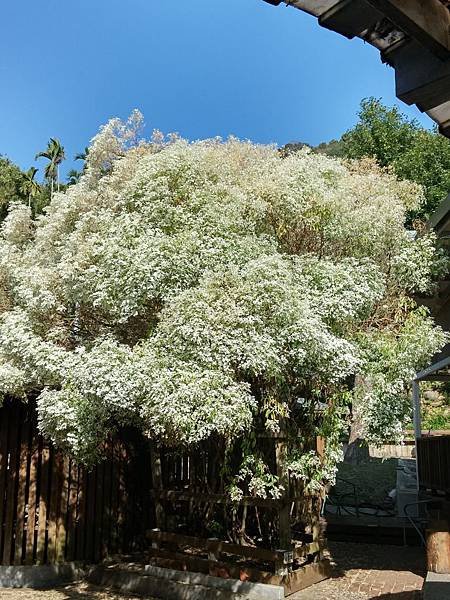 20150117_101444_HDR.jpg
