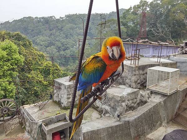 20150207_111038_HDR.jpg