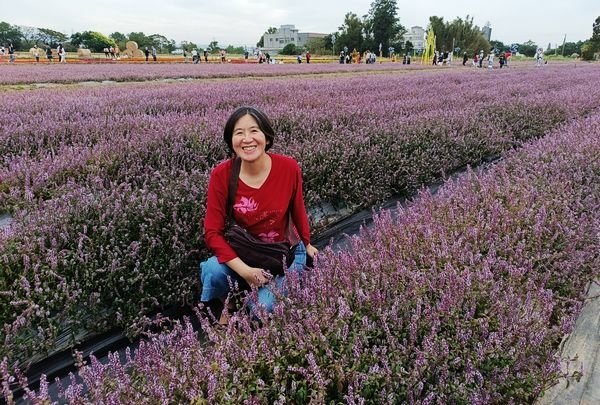 桃園仙草花節 (Nov., 2023)