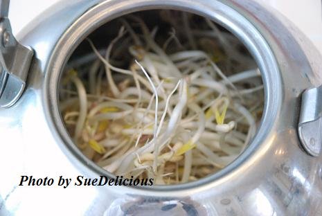 growing bean sprouts