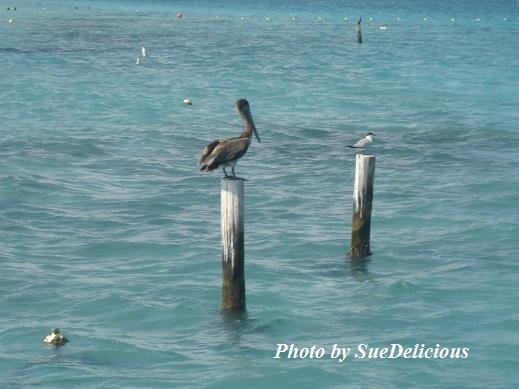 Puerto Morelos