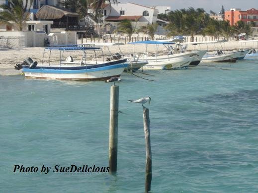 Puerto Morelos