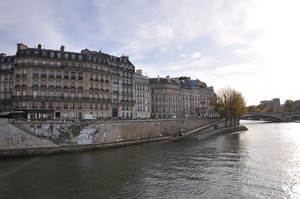 Cathédrale Notre Dame de Paris