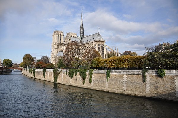 Cathédrale Notre Dame de Paris